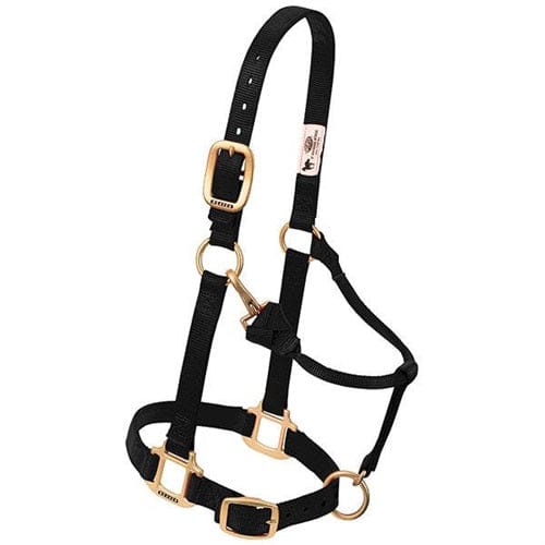 Adjustable Halters ~ Large