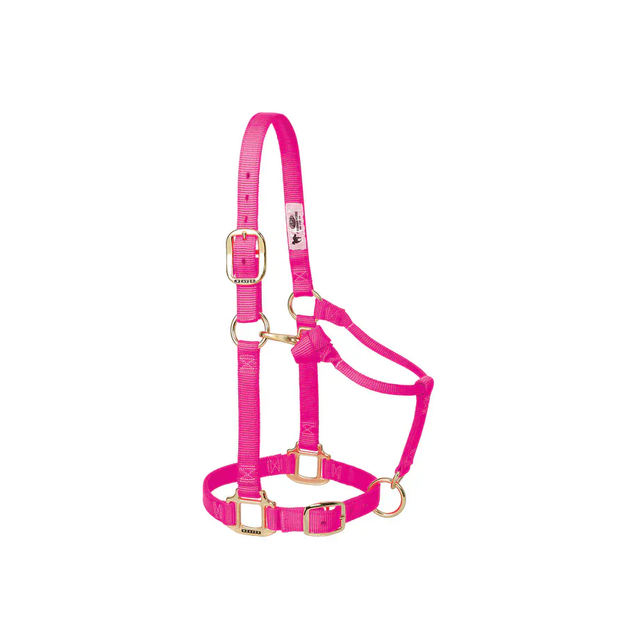 Adjustable Halters ~ Large - Image 15