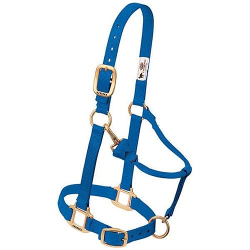 Adjustable Halters ~ Large - Image 3