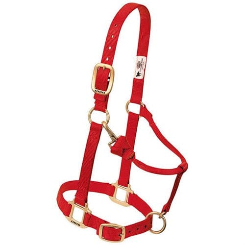 Adjustable Halters ~ Large - Image 5