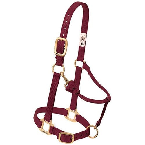 Adjustable Halters ~ Suckling - Image 10