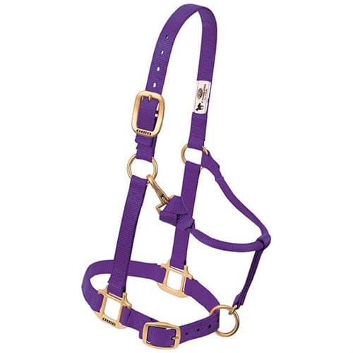 Adjustable Halters ~ Suckling - Image 4