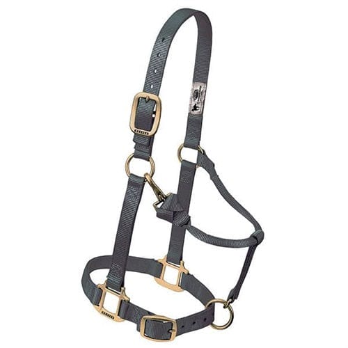 Adjustable Halters ~ Small - Image 11