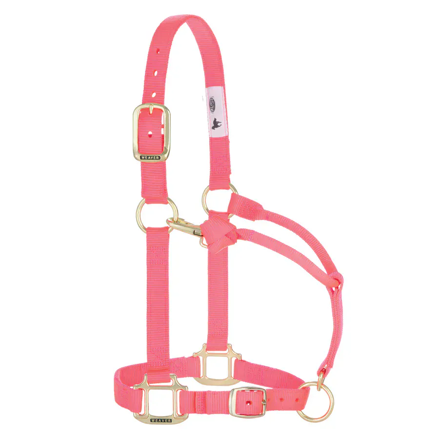 Adjustable Halters ~ Yearling - Image 14