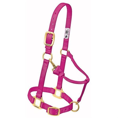 Adjustable Halters ~ Yearling - Image 6