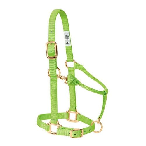 Adjustable Halters ~ Yearling - Image 9