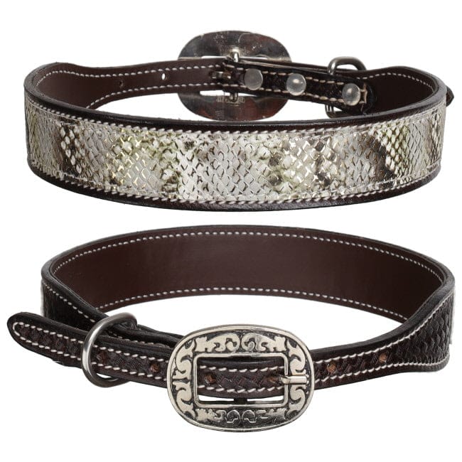 Dog Collar ~ Luxe Viper
