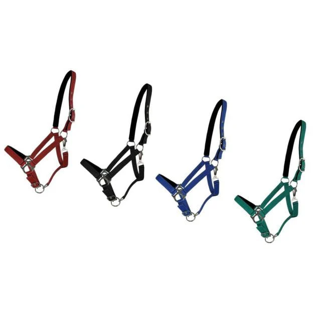 Halter W/Neoprene Lined Nose & Crown