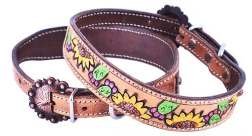 Hand Painted Dog Collar ~ Cactus & Sunflower