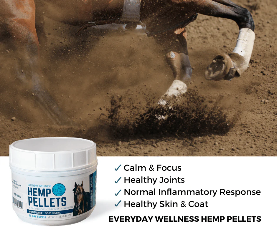Healing Cowgirl ~ Hemp Pellets - Image 2