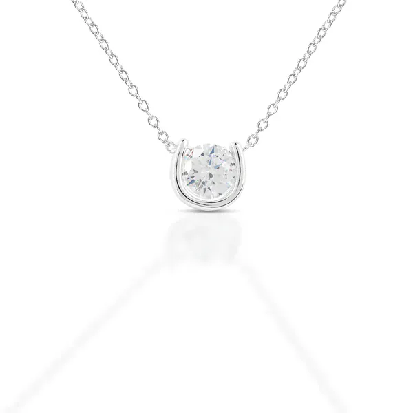 Kelly Herd Brass Horseshoe Necklace W/Center Stone