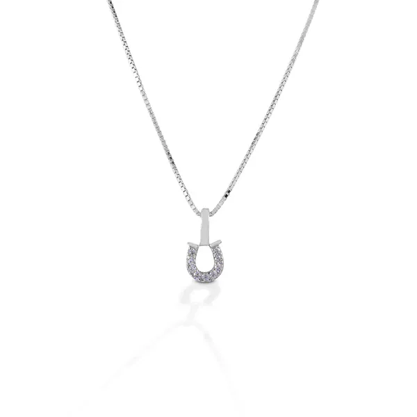 Kelly Herd Horseshoe Necklace ~ Clear