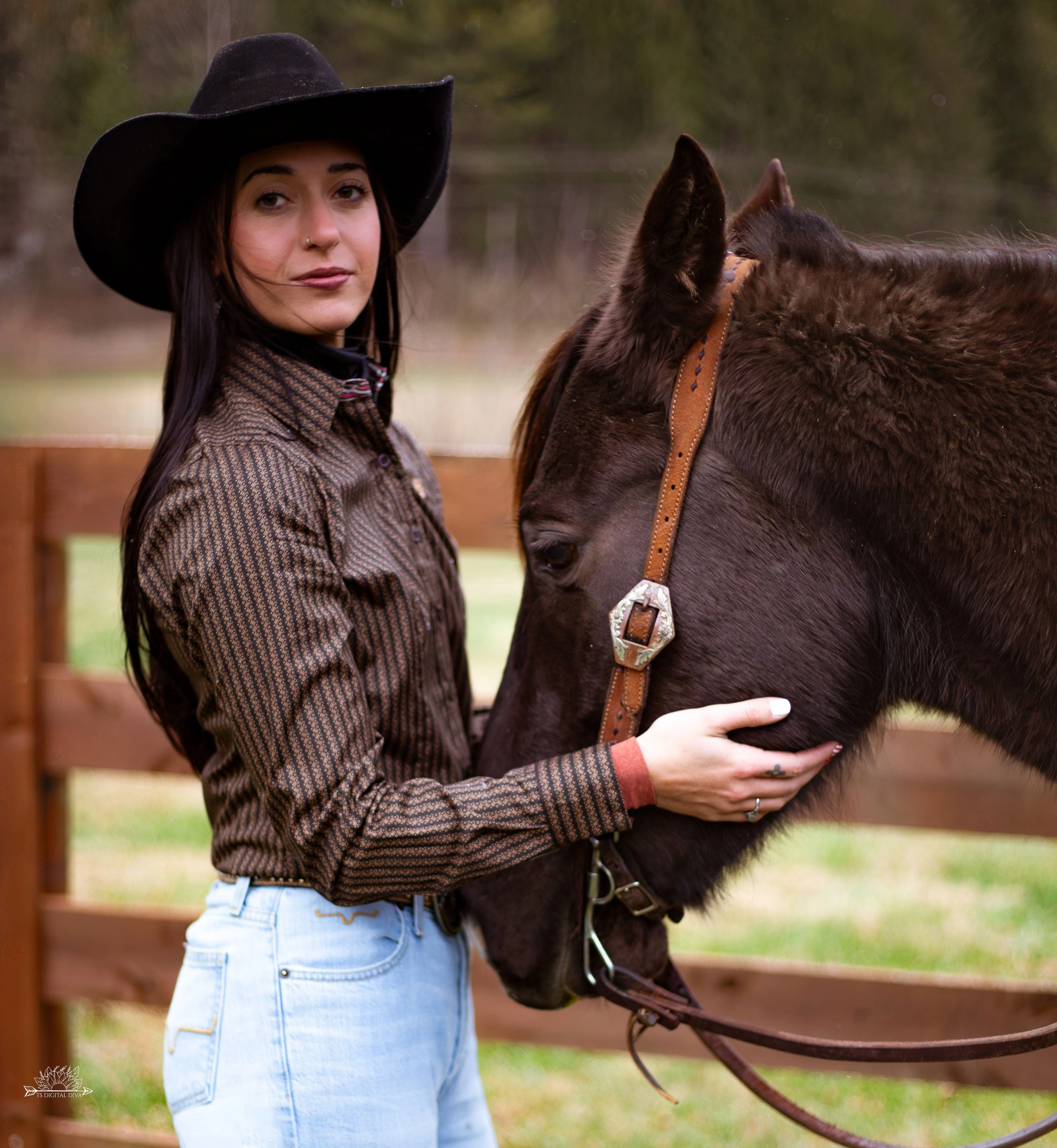 Ladies Cinch ~ Brown