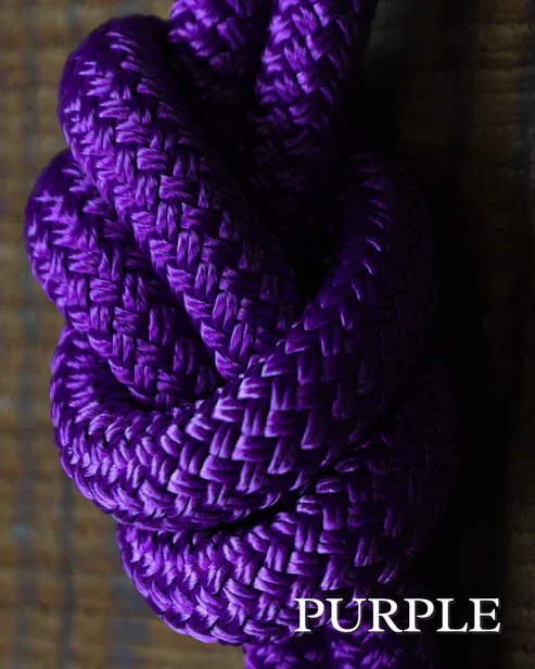 Classic Collection Lead Ropes ~ Purple