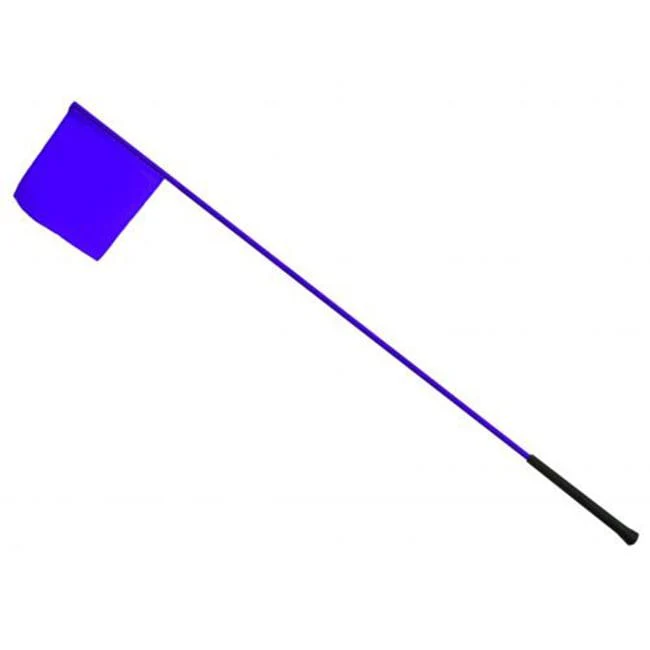 Training Flag